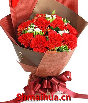 幸福寄语-11朵红色康乃馨，配花点缀 单面棕色纸内包，外衬红色条纹皱纸