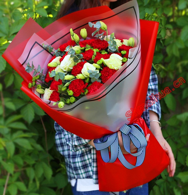 快快乐乐-26枝红色康乃馨，桔梗、尤加利、绿叶等适量,精美包装