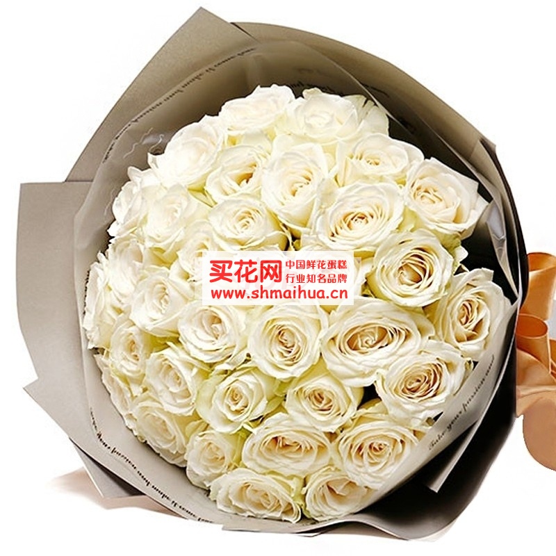 白玫瑰的花语是什么？